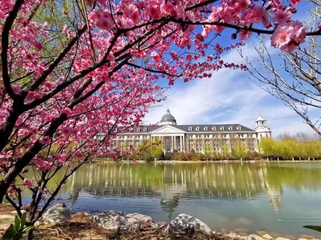 多少位次能上河南农业大学？招生专业、录取办法抢先看