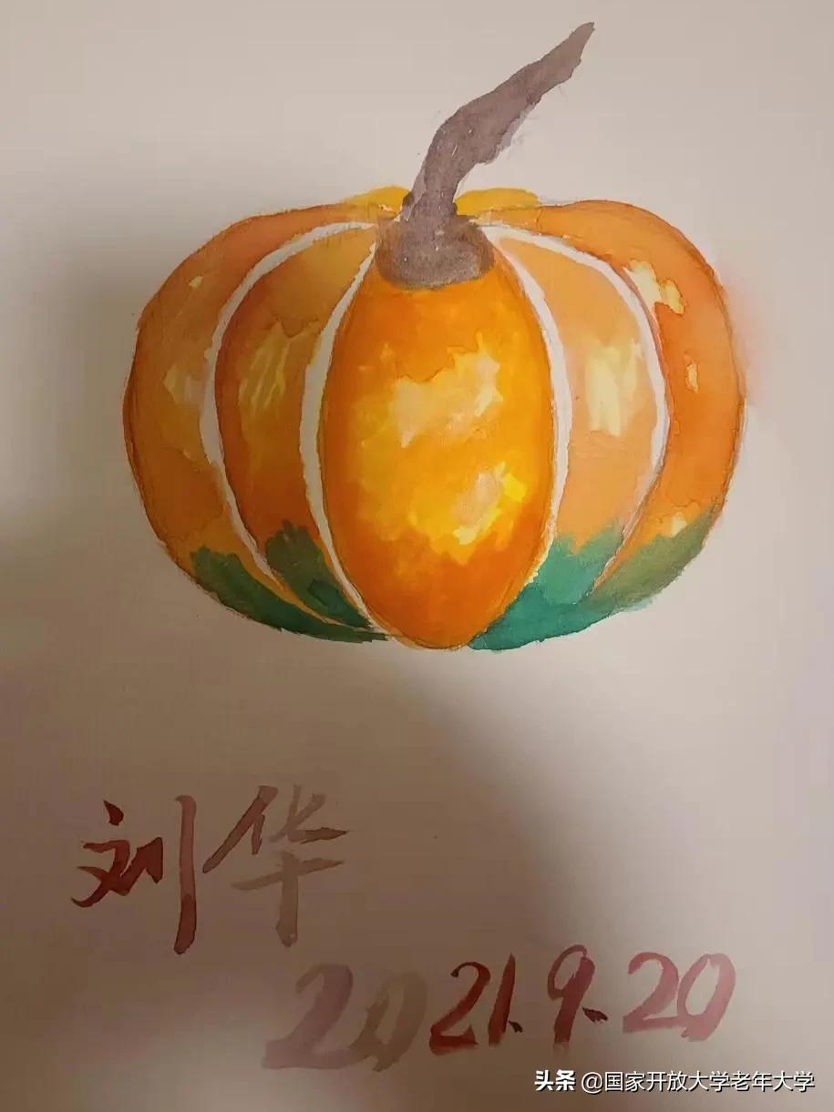 在校园·良作 | 水彩让我们的青春重新绽放——水彩画初级班学员作品