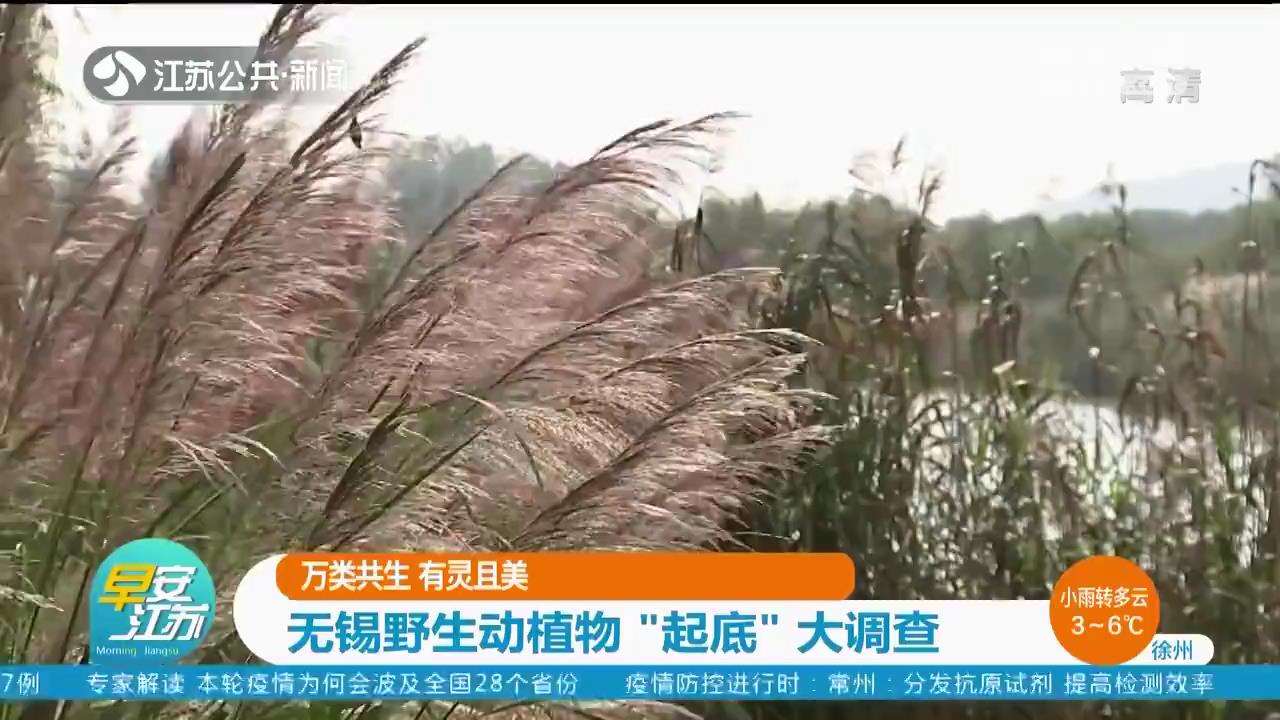 万类共生 有灵且美 无锡野生动植物“起底”大调查