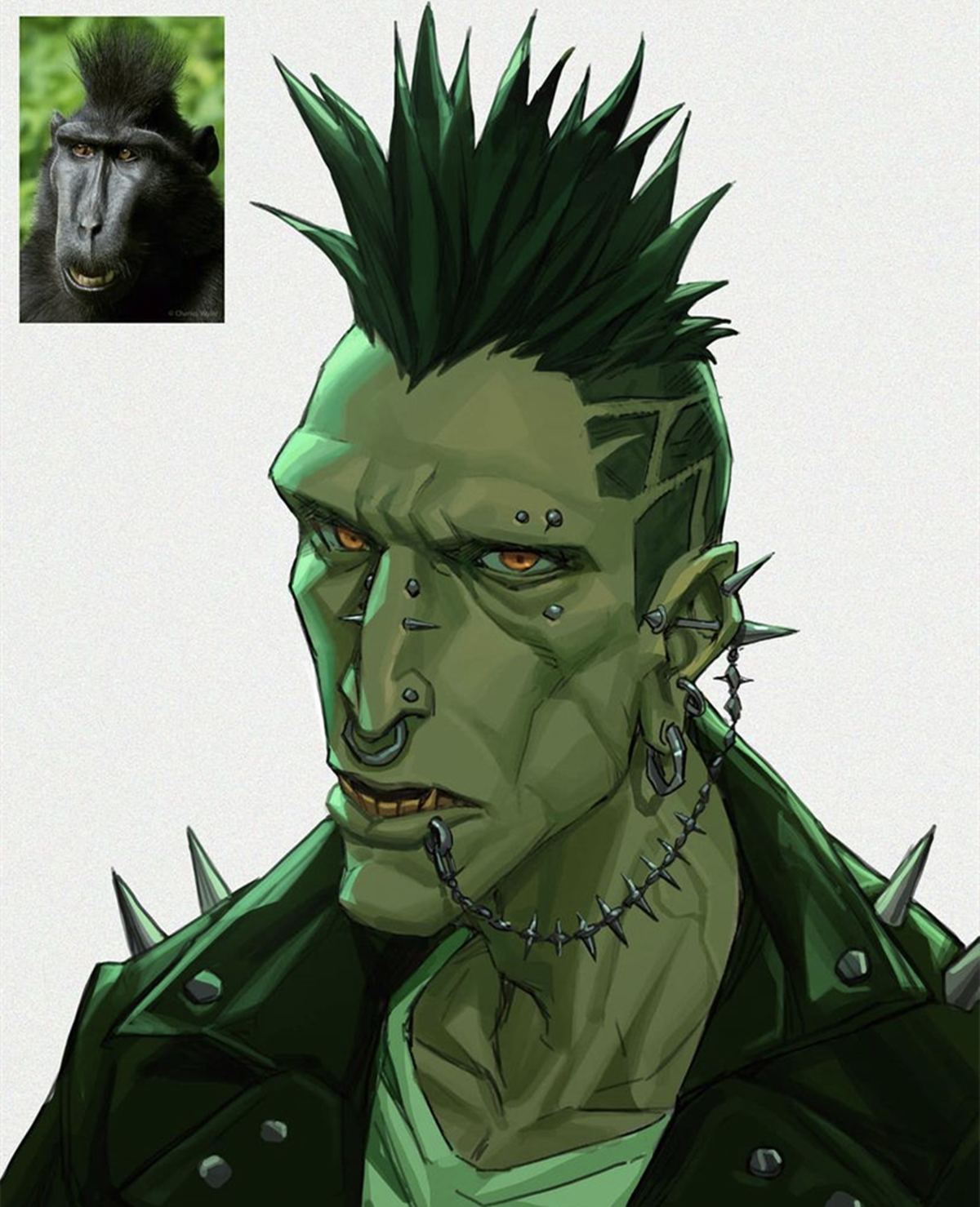 帅气的动物立绘,动物变成人类的形象该如何设计才能让人印象深刻