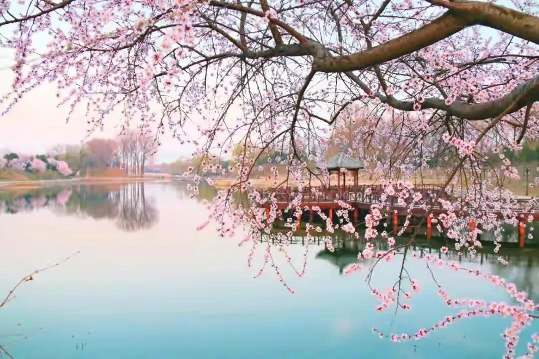 烟如柳诗词三十首（最新2021年12月）