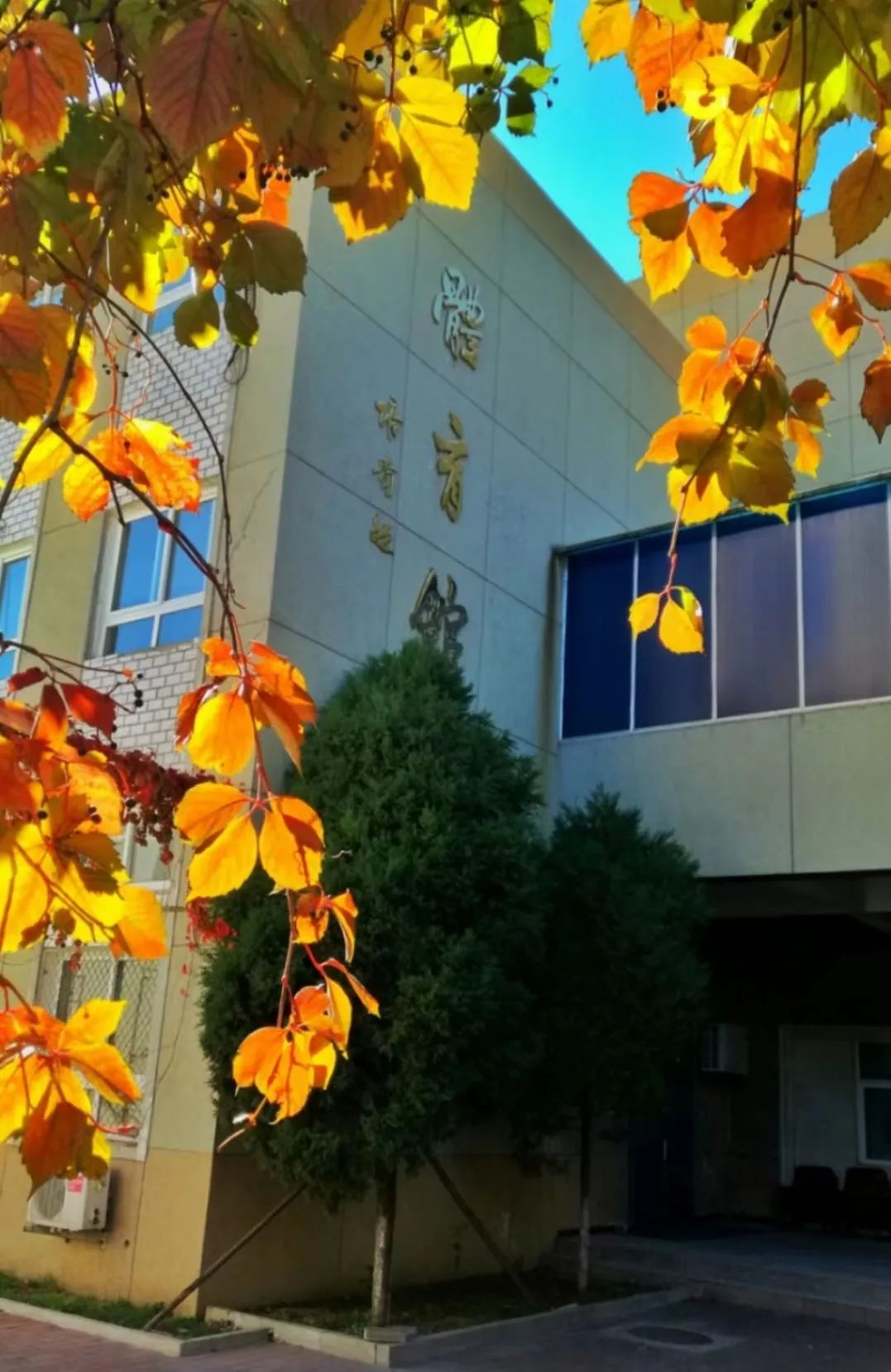 近距离看专业丨欢迎报考CNU学前教育学院