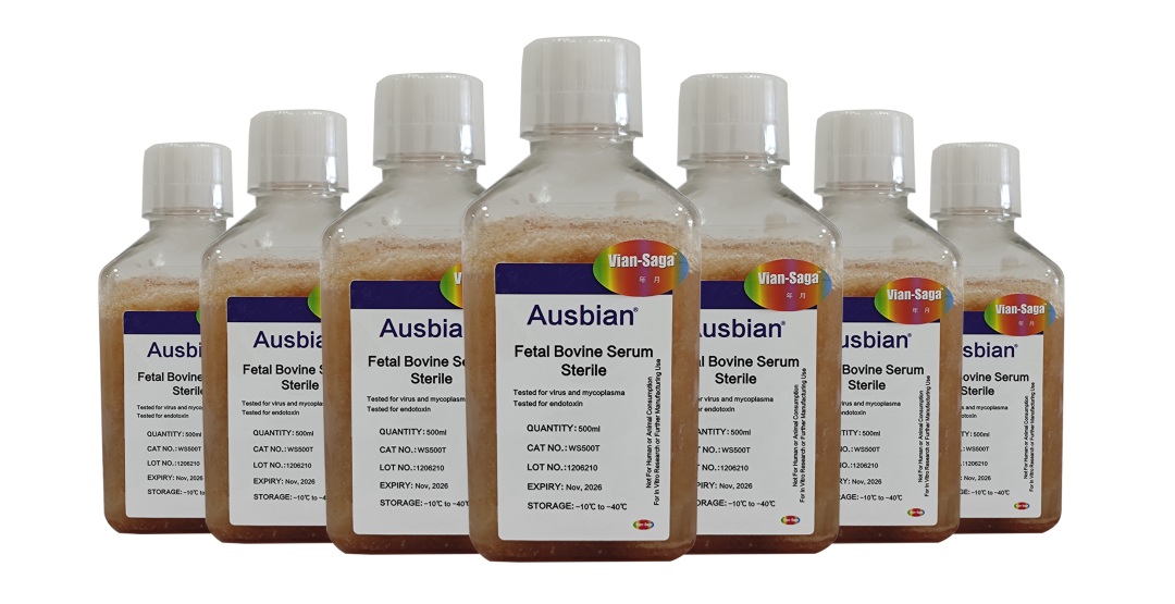 胎牛血清给细胞带来的好处