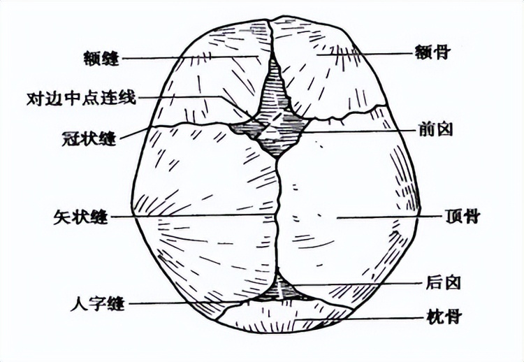 宝宝的囟门暗示宝宝的发育状况，如果出现这三种形态，爸妈要注意