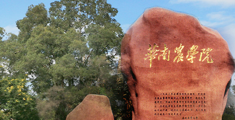 晋升为“双一流”的7所大学，实力怎么样？已经考上的同学有福了