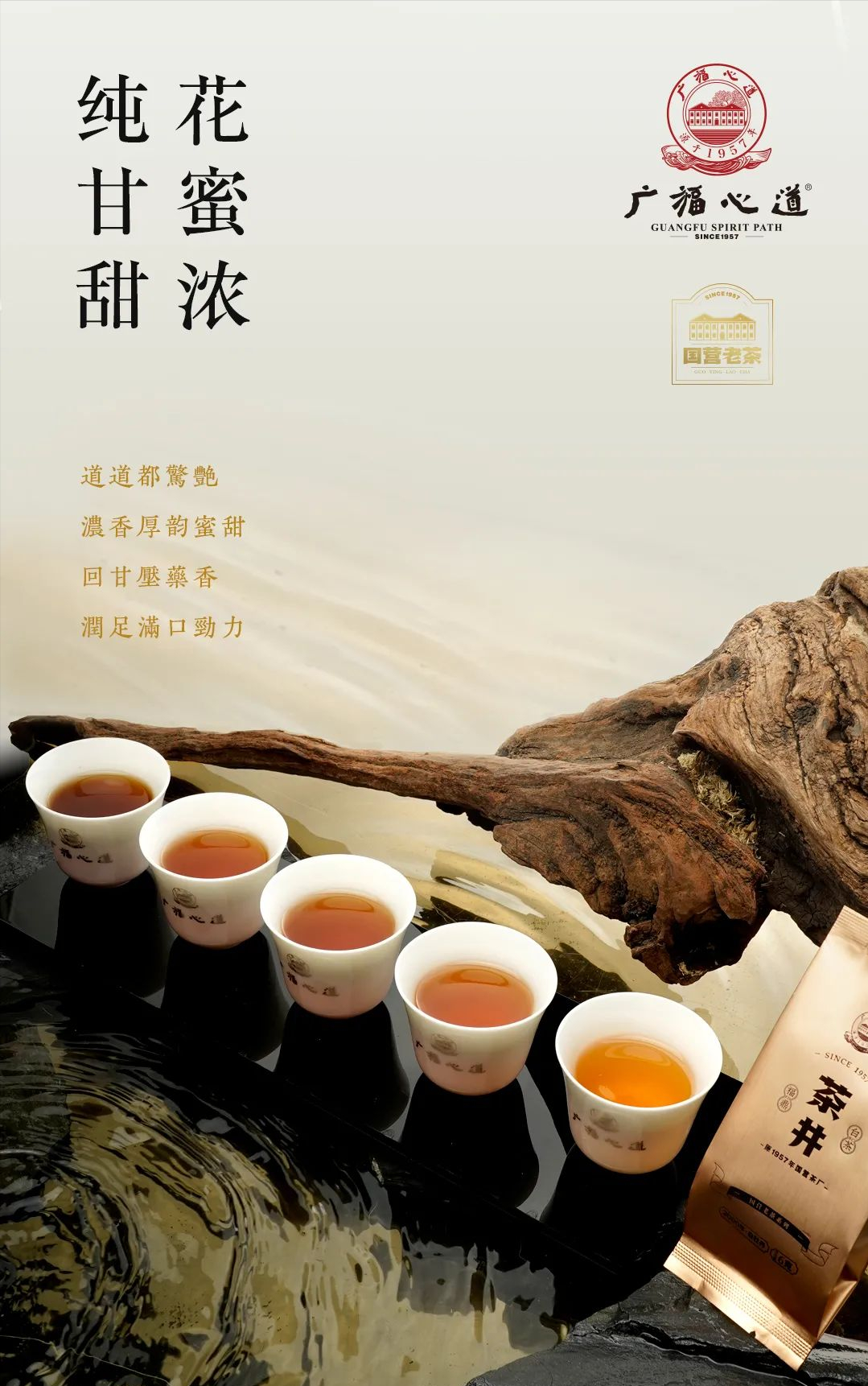 茶井·庚辰：2000年老牡丹，国营茶味活化石