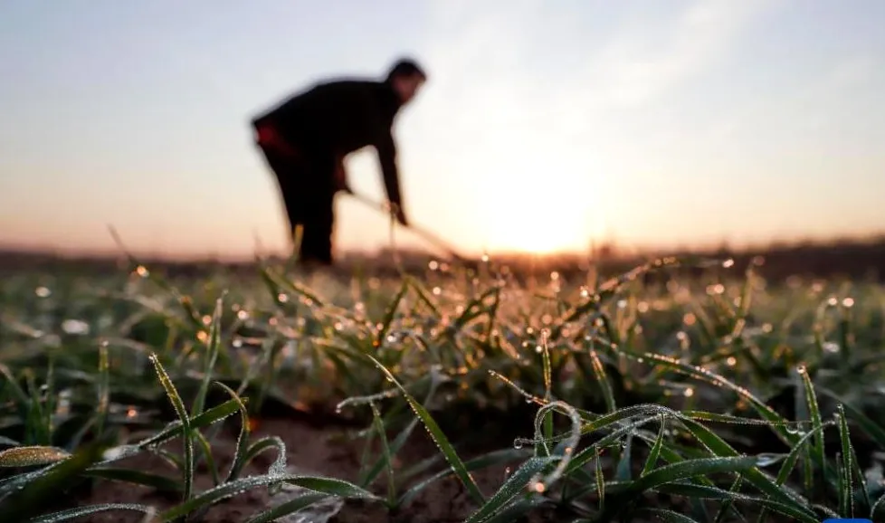 响应“双减”，深圳实验学校小学部这样做