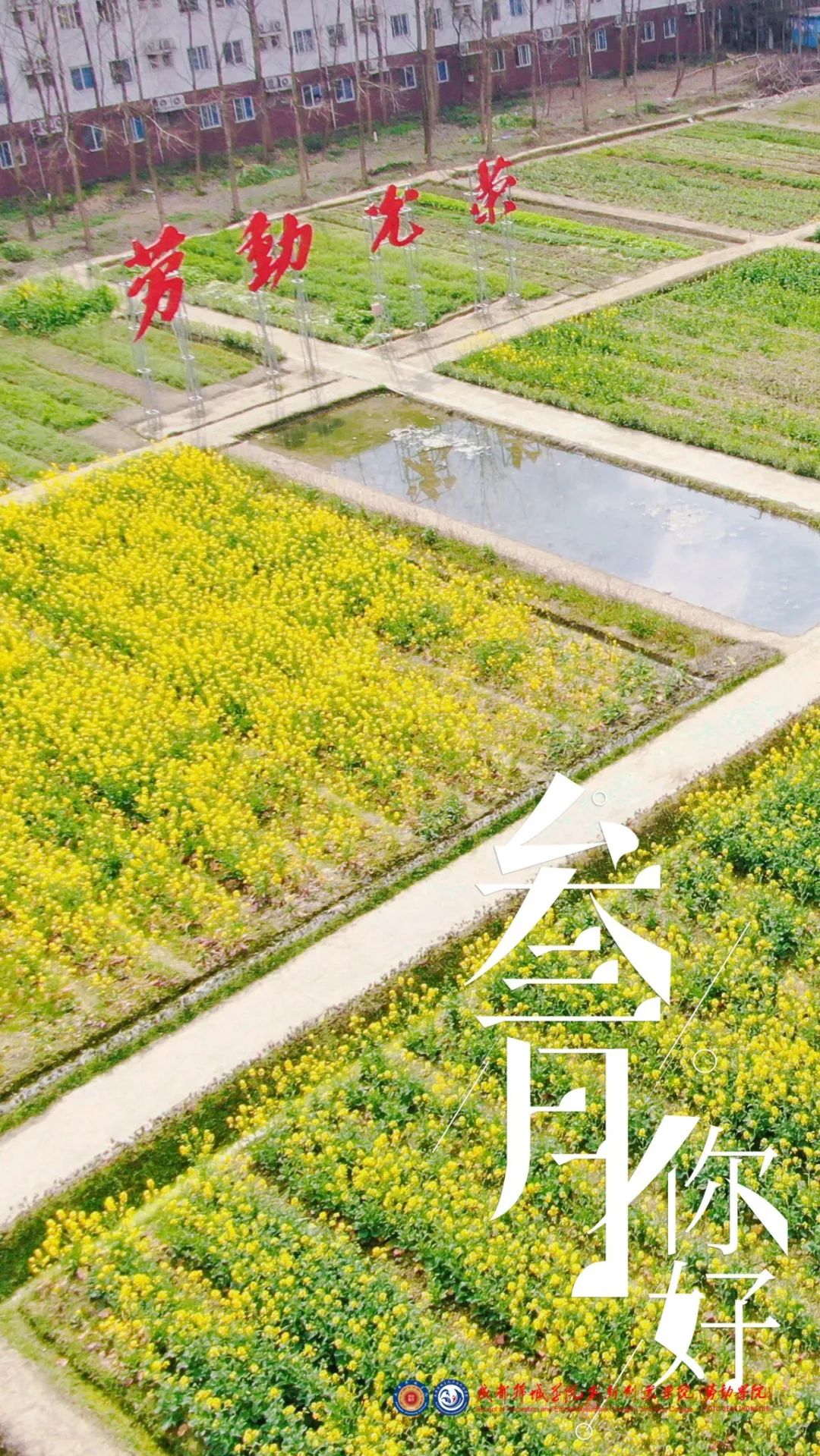 快来看看成都锦城学院的春日美景