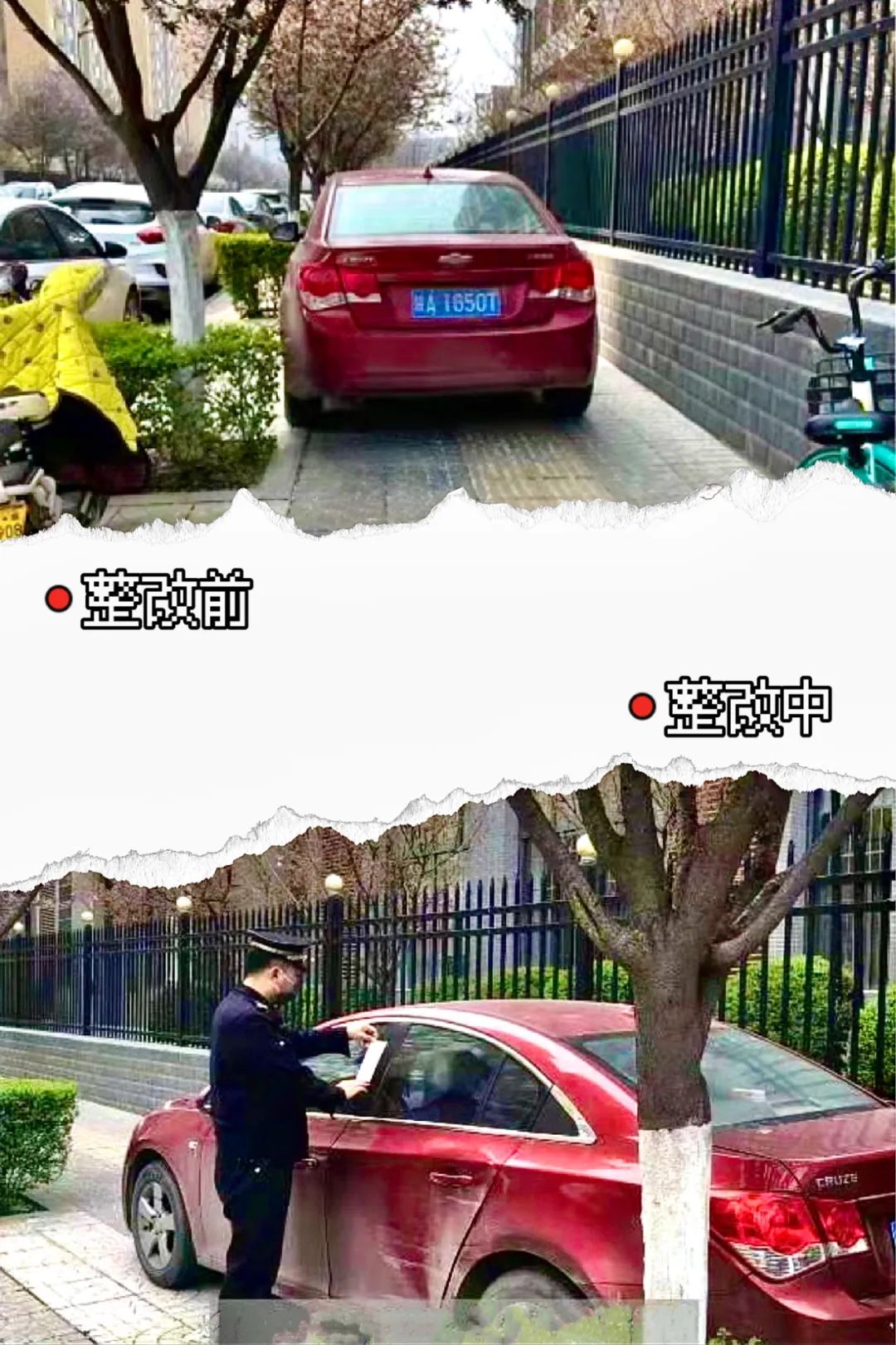 �Ƽ����������Ҳ硱��ץ����������