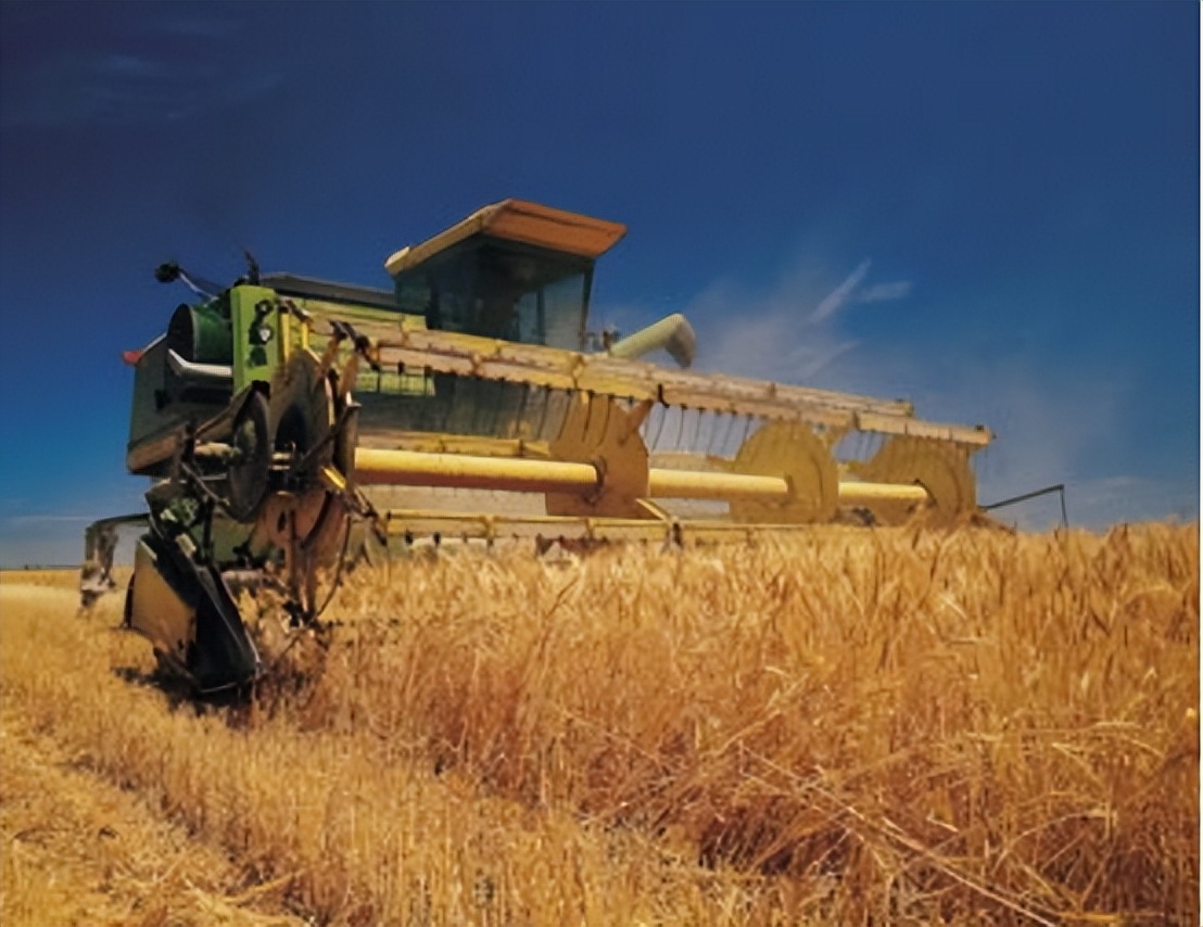 全球粮食自给率排名，法国第1美国第5，中国难道没有上榜？