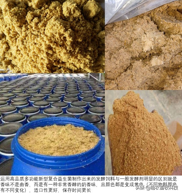 高品质多功能新型复合益生菌与一般益生菌运用在养殖上有哪些不同