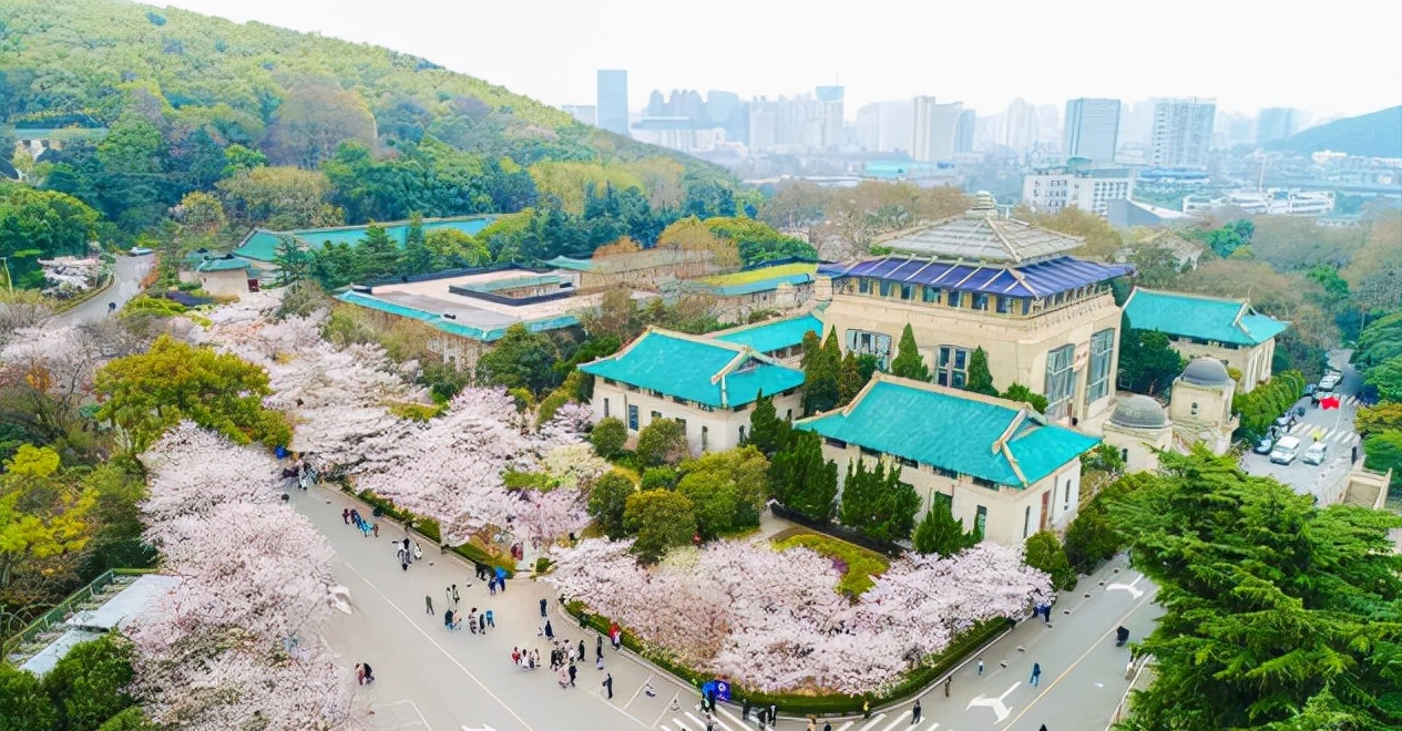 武汉大学信息学部（双一流名单还没公布）