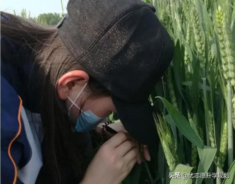 大学里这类“土掉渣”的专业，其实是高薪专业，考生和家长别嫌弃