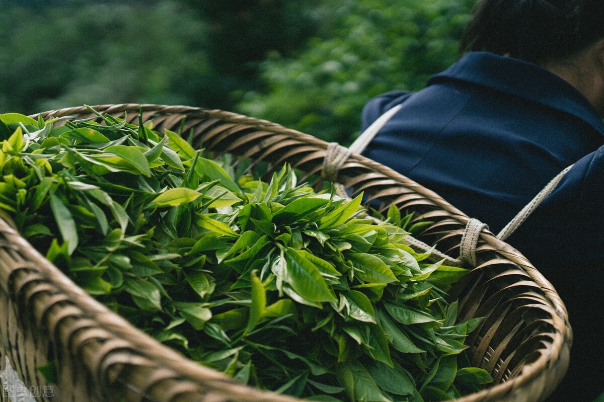 吃燒烤致癌？ 咽喉腫痛？ 喝點綠茶吧