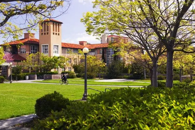 每座校园都有自己的代表植物，你就读的校园哪一种植物最出名？