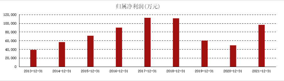 中鼎股份：精心包装的橡胶厂