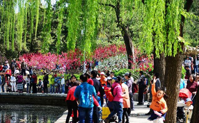春天來了，去戶外踏春旅行；不知道露營帳篷怎么選擇的朋友看過來