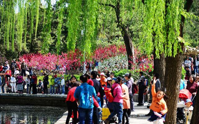 春天来了，去户外踏春旅行；不知道露营帐篷怎么选择的朋友看过来