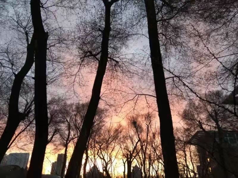 东北林业大学怎么样？四面玲珑，八面威风