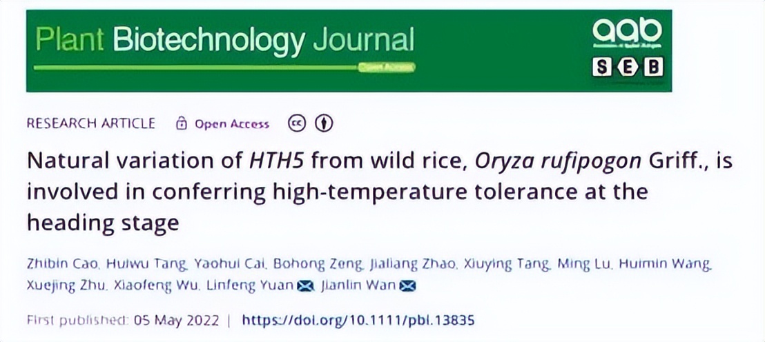 江西成功克隆出水稻“耐高温”基因技术 已达国际领先水平
