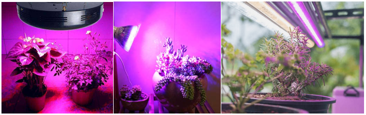 与万喜红对话：天电光电，开创LED照明科技新视界