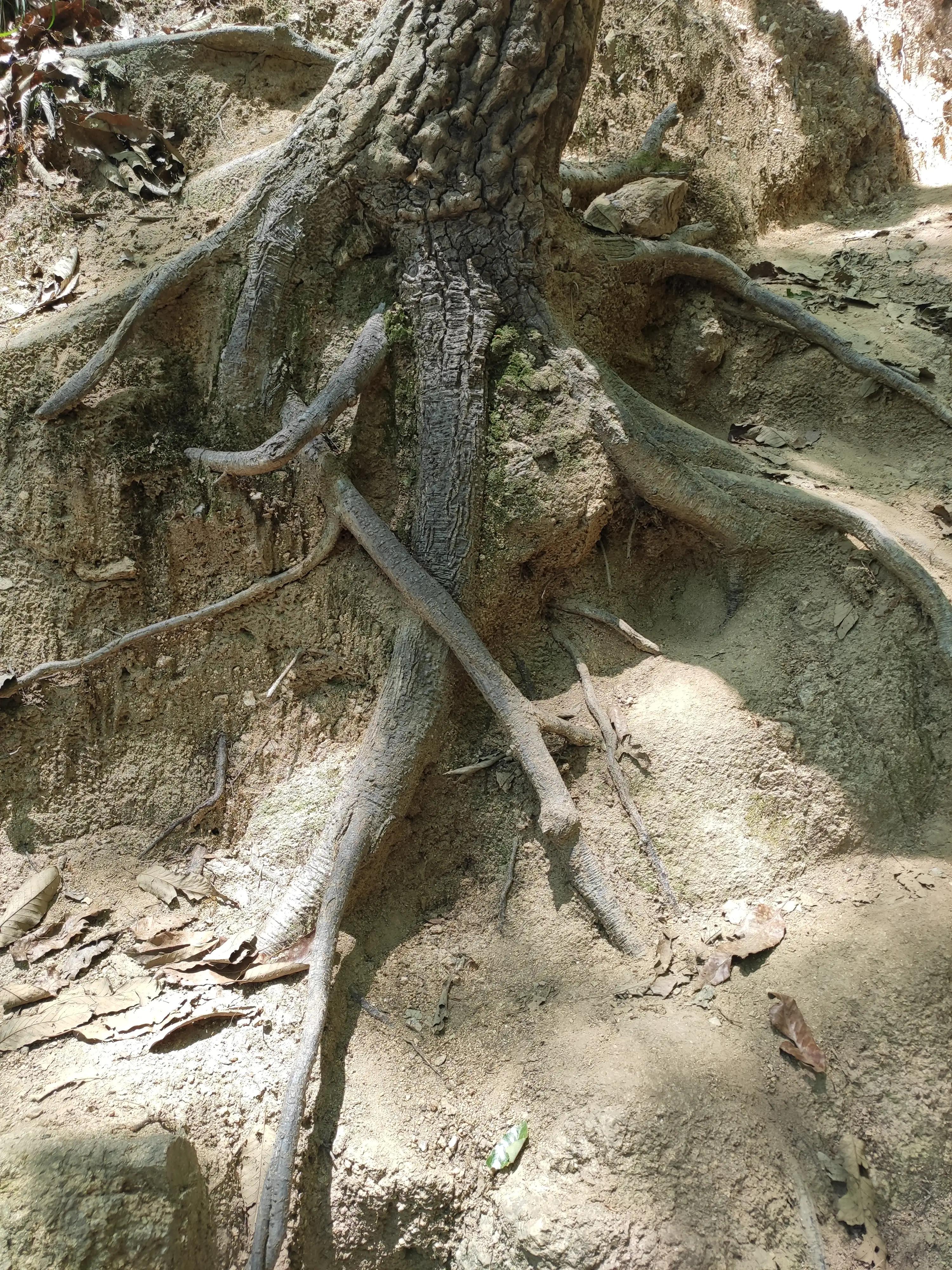 律宗祖庭·禅意浓浓——意想不到的收获