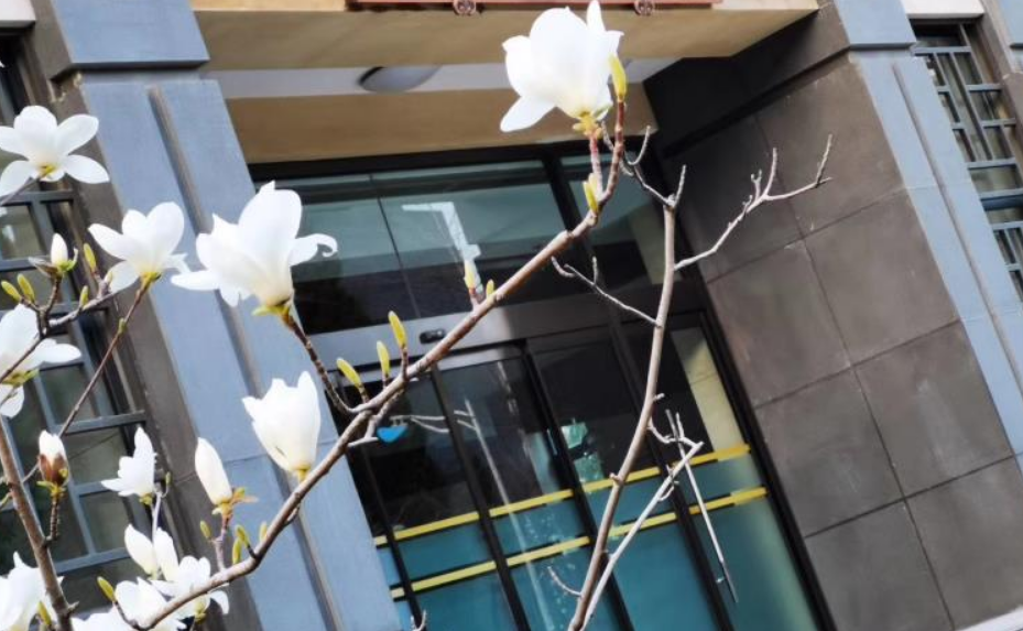 全国师范类大学排名一览：北师大第一，考上就业很吃香