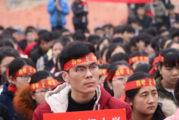 儿子立志要考清华北大，妈妈却在一旁无情嘲讽：你能考上猪都上树