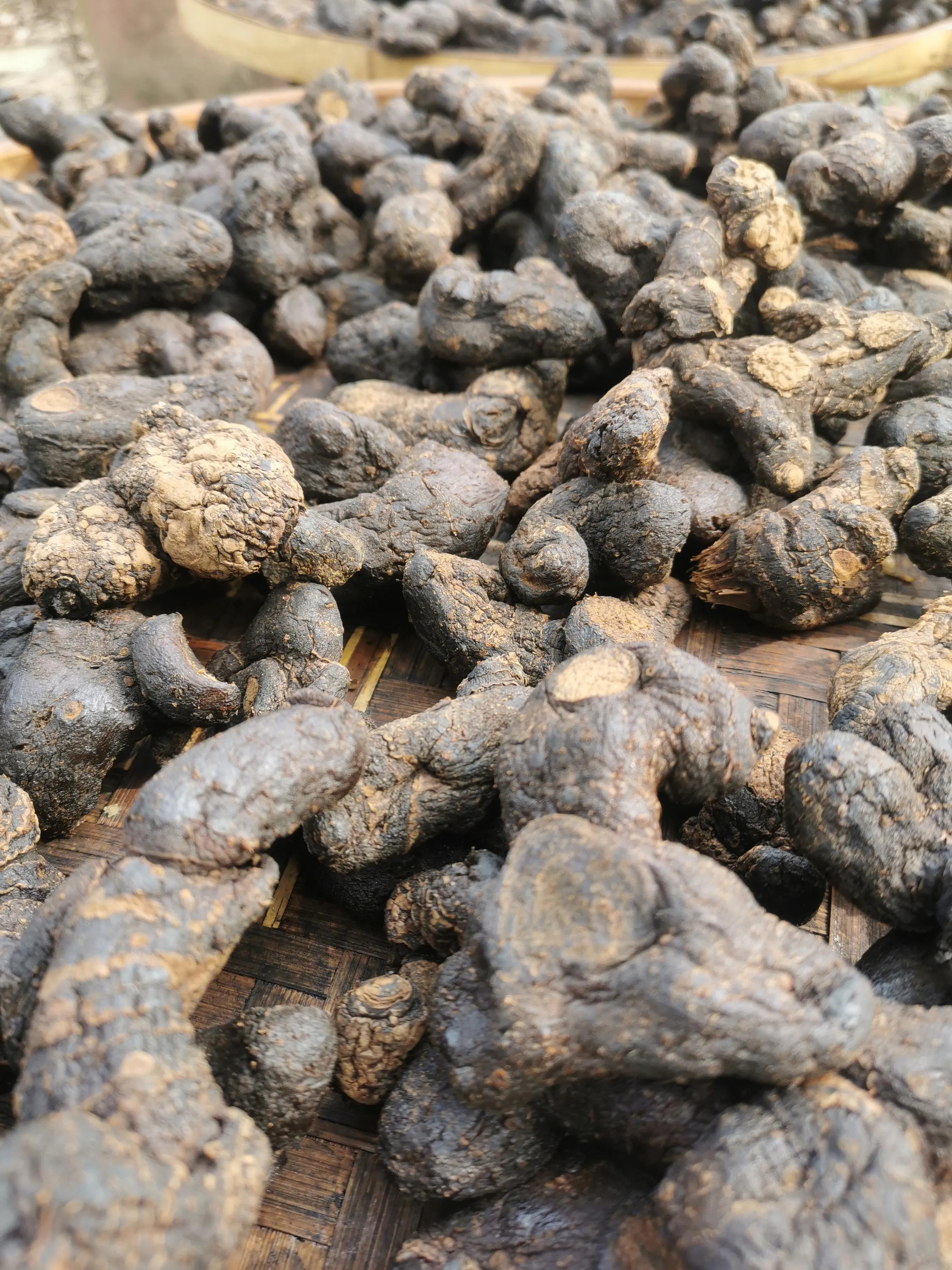 仙人余粮～九蒸九晒黄精