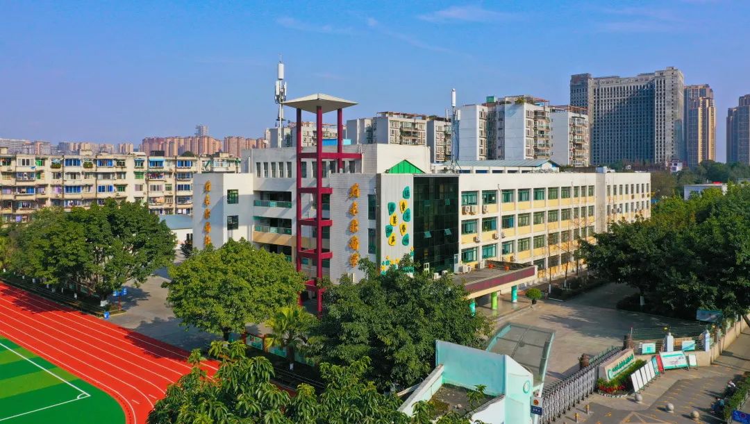 遇见南小，遇见美好｜今天，跟您聊聊南小那些事儿