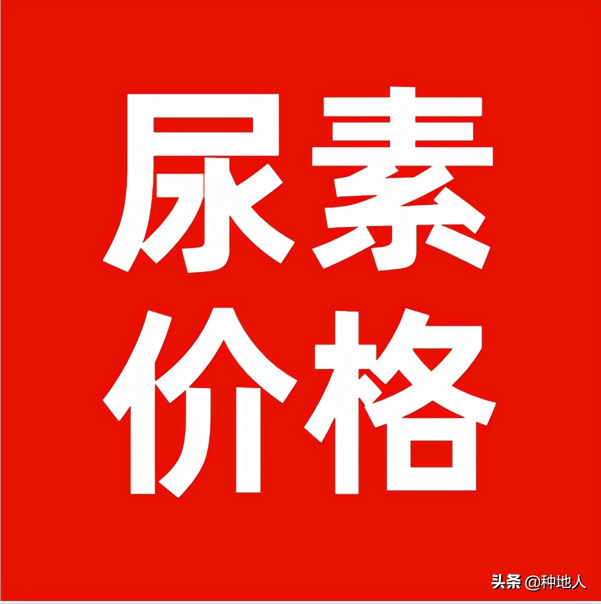 上涨10-30元！今日尿素价格行情2022年4月2日