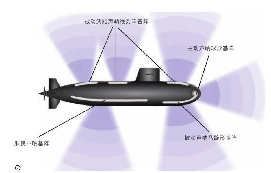 鲸鱼碰瓷核潜艇会爆炸吗？潜艇发射的鱼雷撞上鲸鱼又会发生什么？