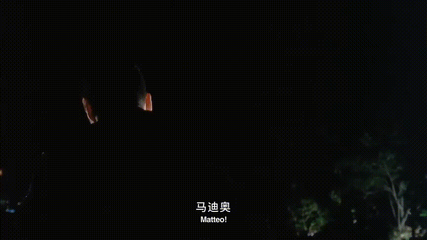 灿烂人生剧情详解（9.4分人生必看佳作详细解说）