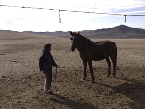 豆瓣9.7分，她的12年人生比《活着》还难，看完哭着打出5星