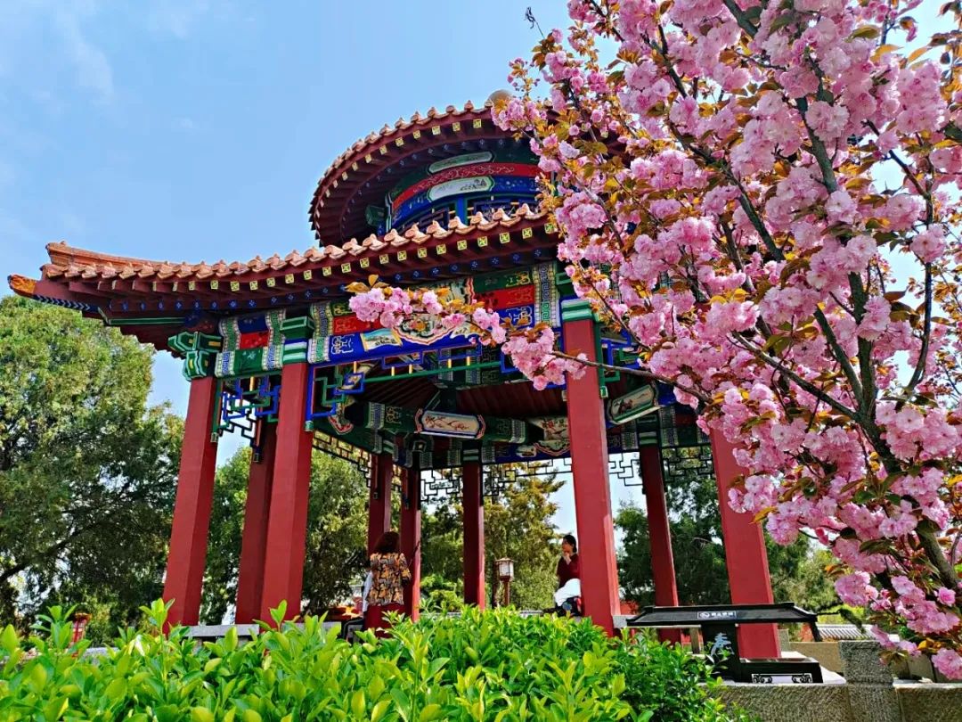 去不了远方，就去一趟江南吧！到杭州这6个地方，看浪漫春色