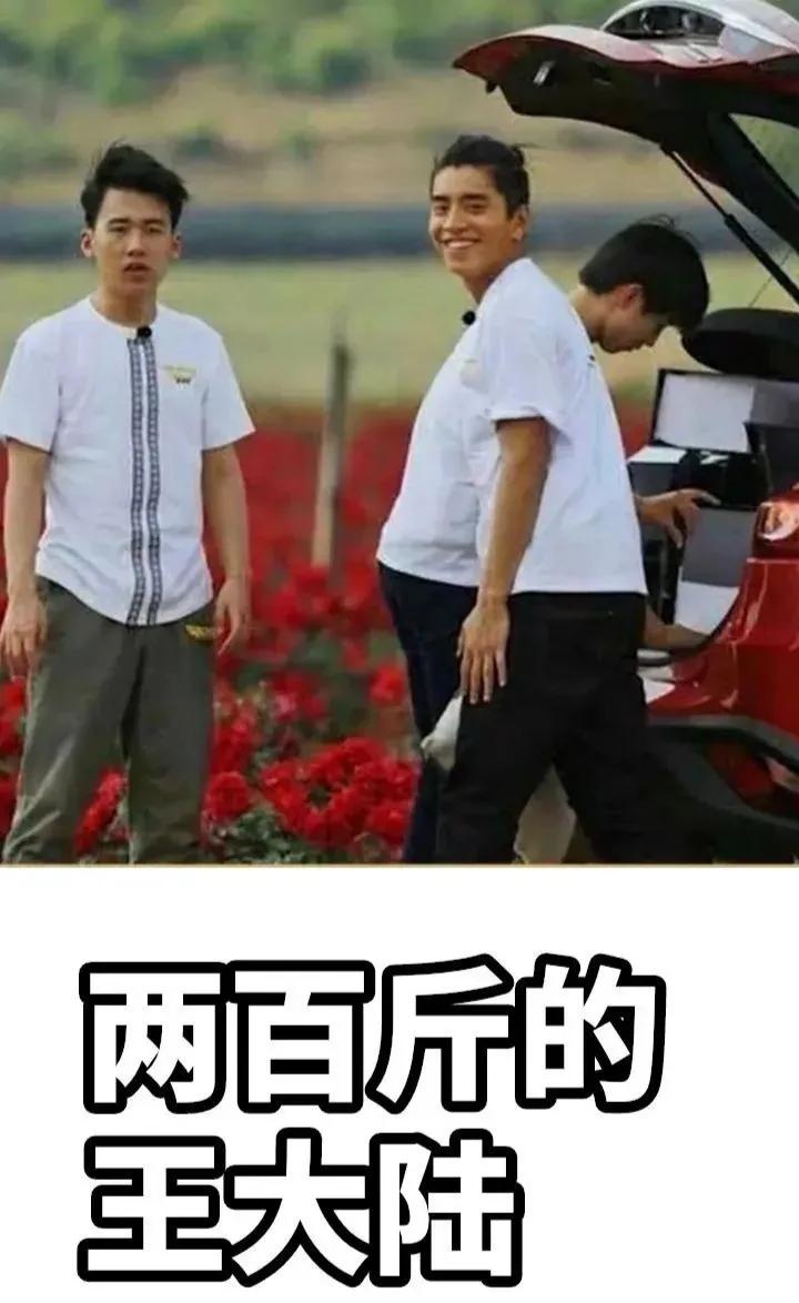 美人鱼上岸了图片