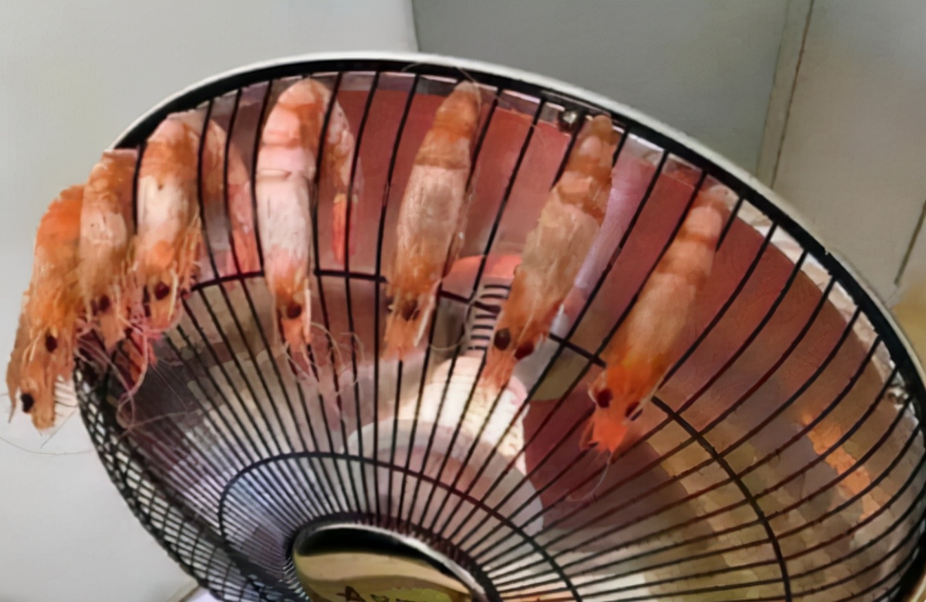 大学寝室里的“神操作”，一个赛一个的有才，辅导员查寝时笑出声