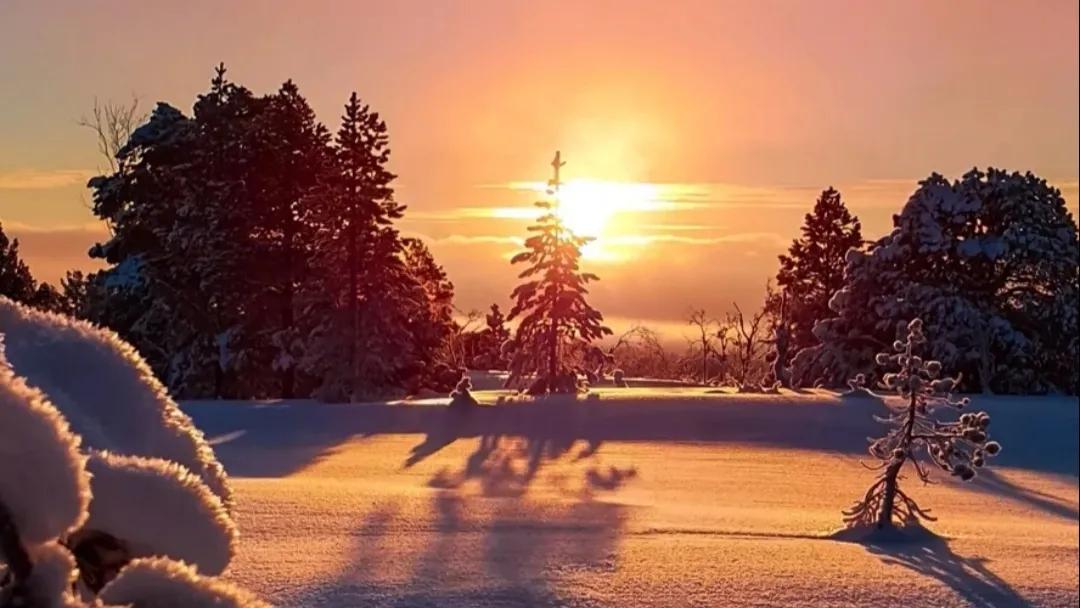 马云文案教你认清现实