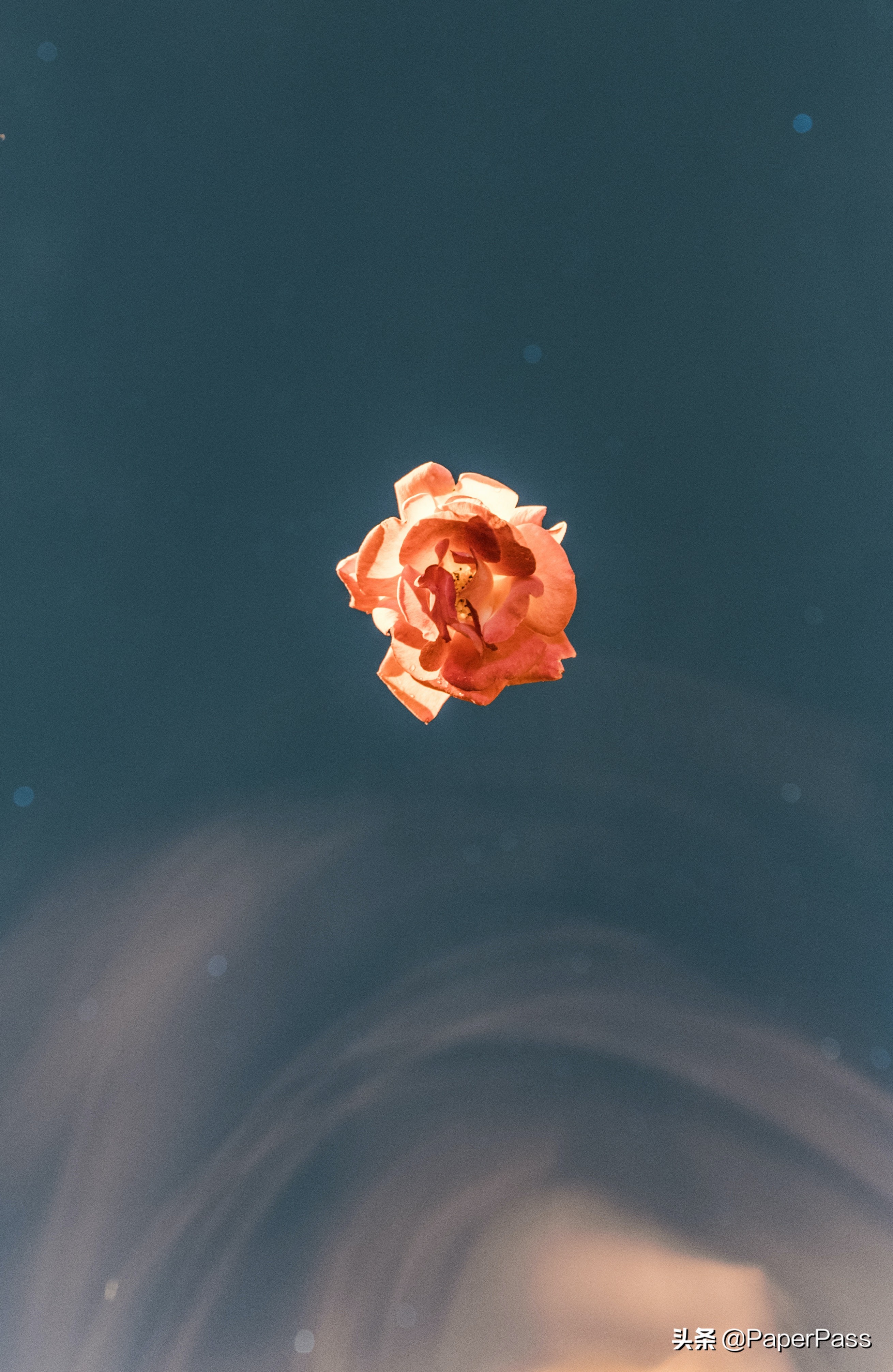 大学如何让自己静下来？提升自己，静心学习