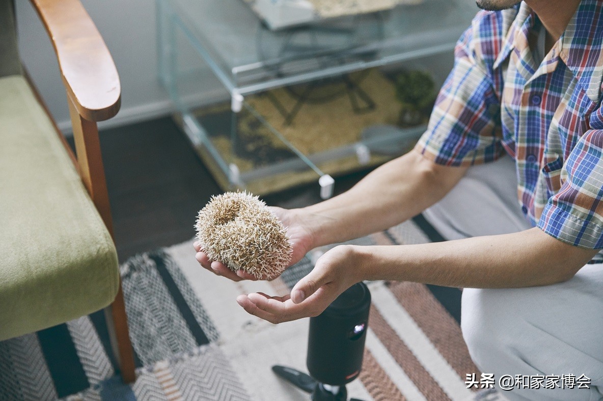 新婚夫妇的50㎡出租房改造 打造温馨小屋