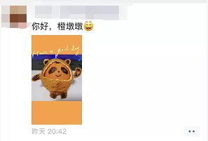 济南一村口惊现巨型冰墩墩！爆火后被村长连夜&ldquo;解救&rdquo;，网友：现在的我你高攀不起