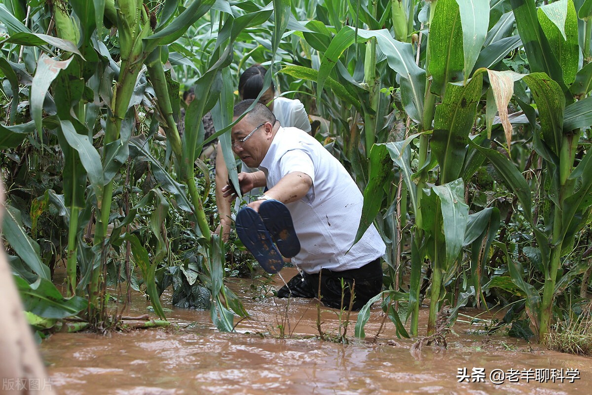 1997年，400亩玉米地一夜成湖泊，10年后又神秘消失，真有龙王？