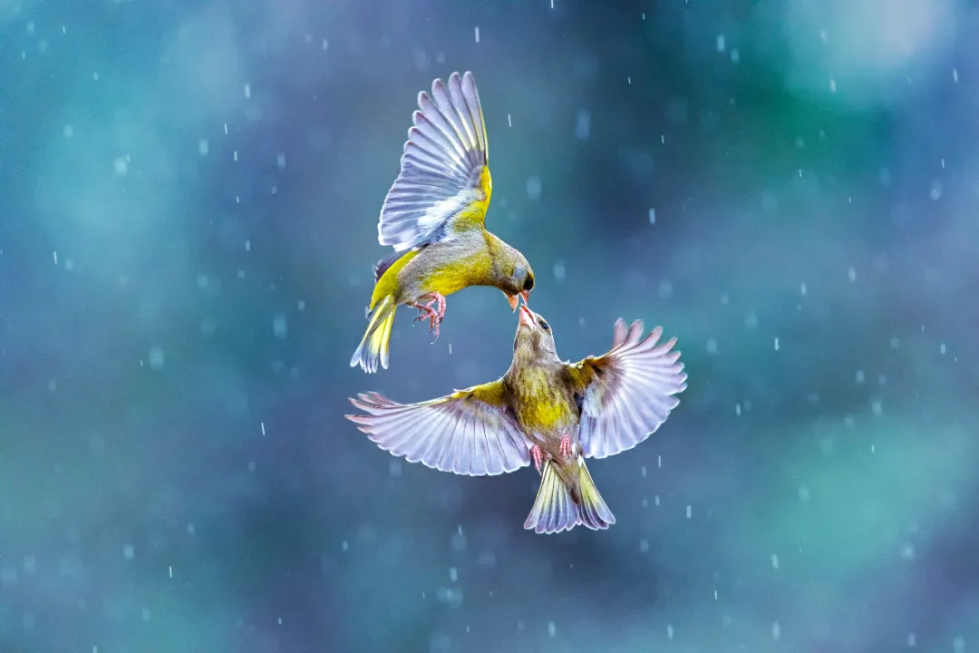 2022年2月22日正月廿二星期二,来了