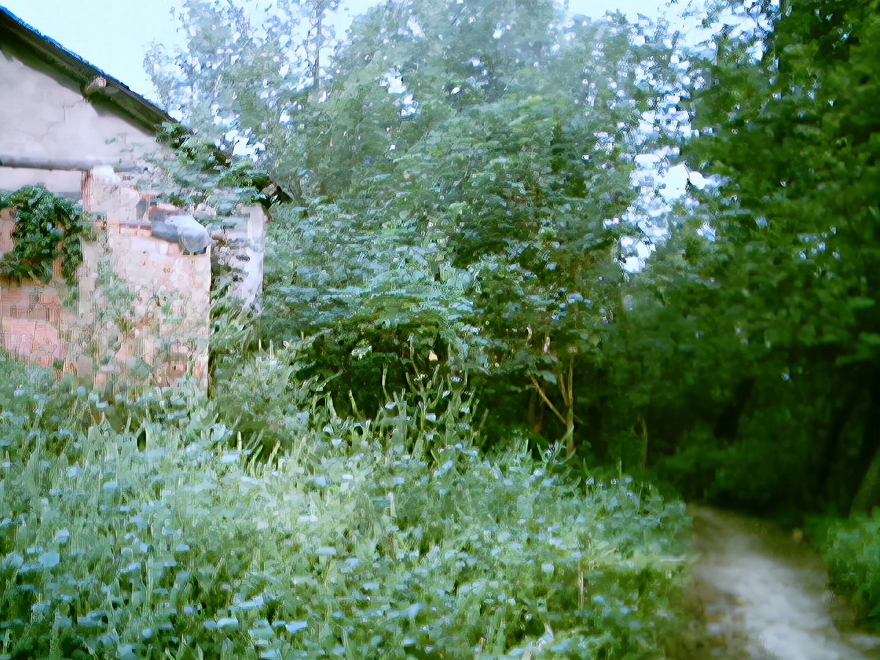 一张勉强合格的试卷