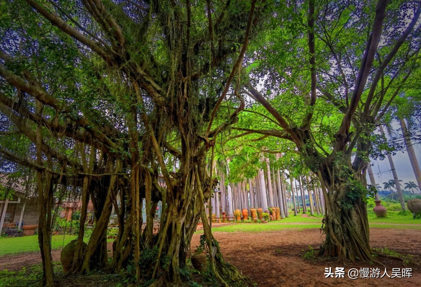 我和海南的约惠丨海南环岛西线自驾，小众体验，风光美食无限好