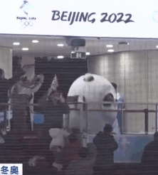 冰墩墩名场面可爱集