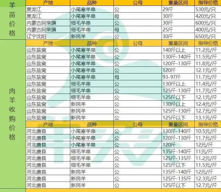 羊价要反转，各地开始抢羊了