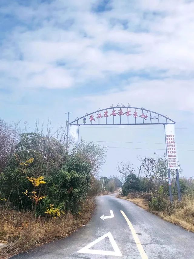 “光棍”爹爹（下）