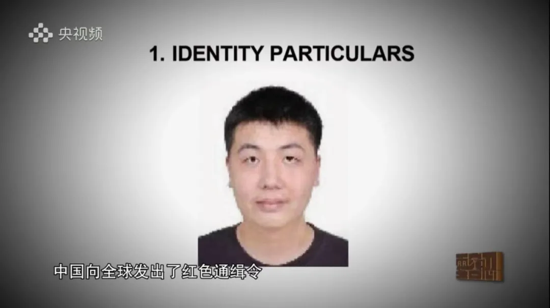 首次披露！落马前安排儿子出逃，“海南虎”张琦之子名列“红通”