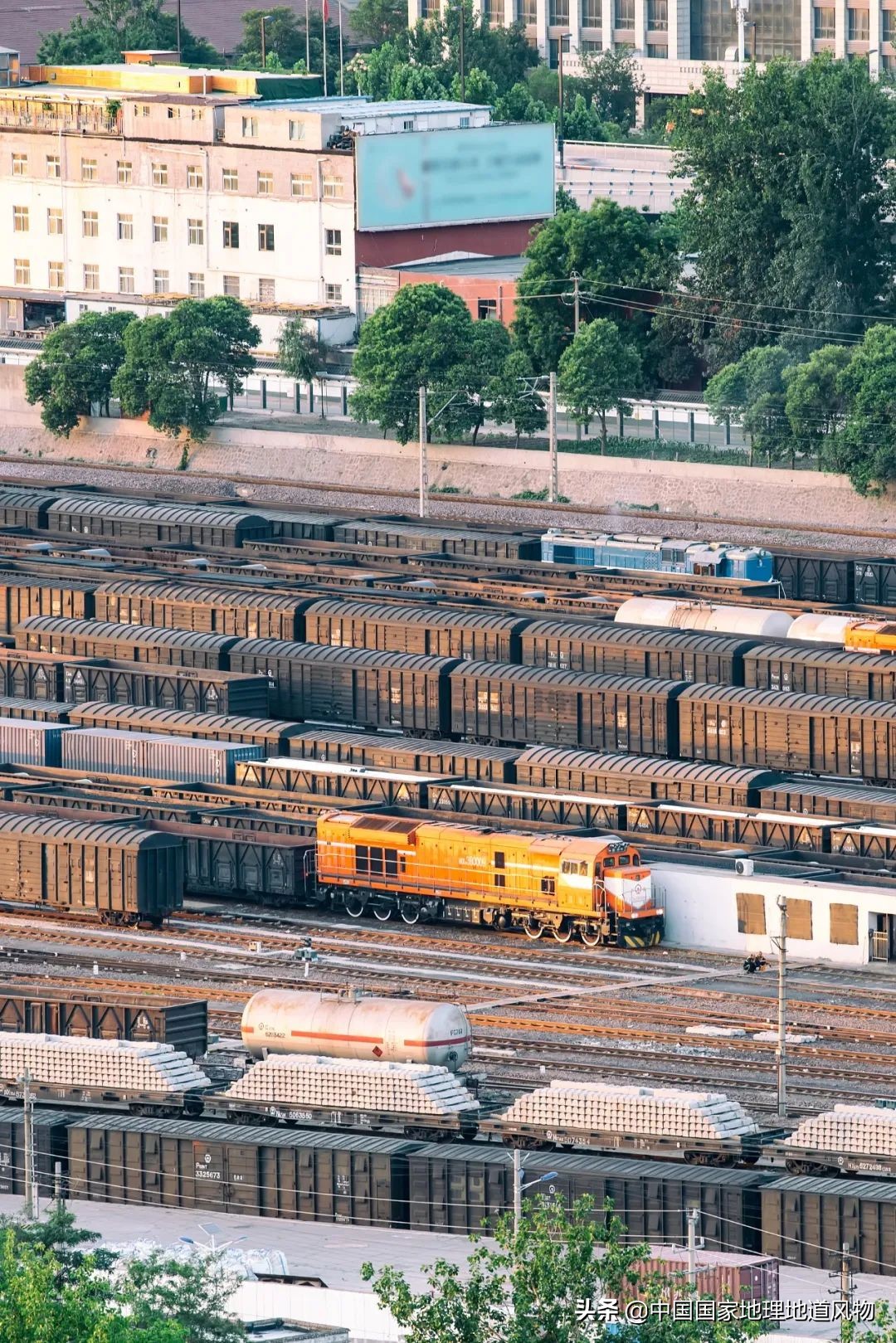 助力蔬菜自由，山东、河南、河北、江苏四省，种菜到底有多猛？